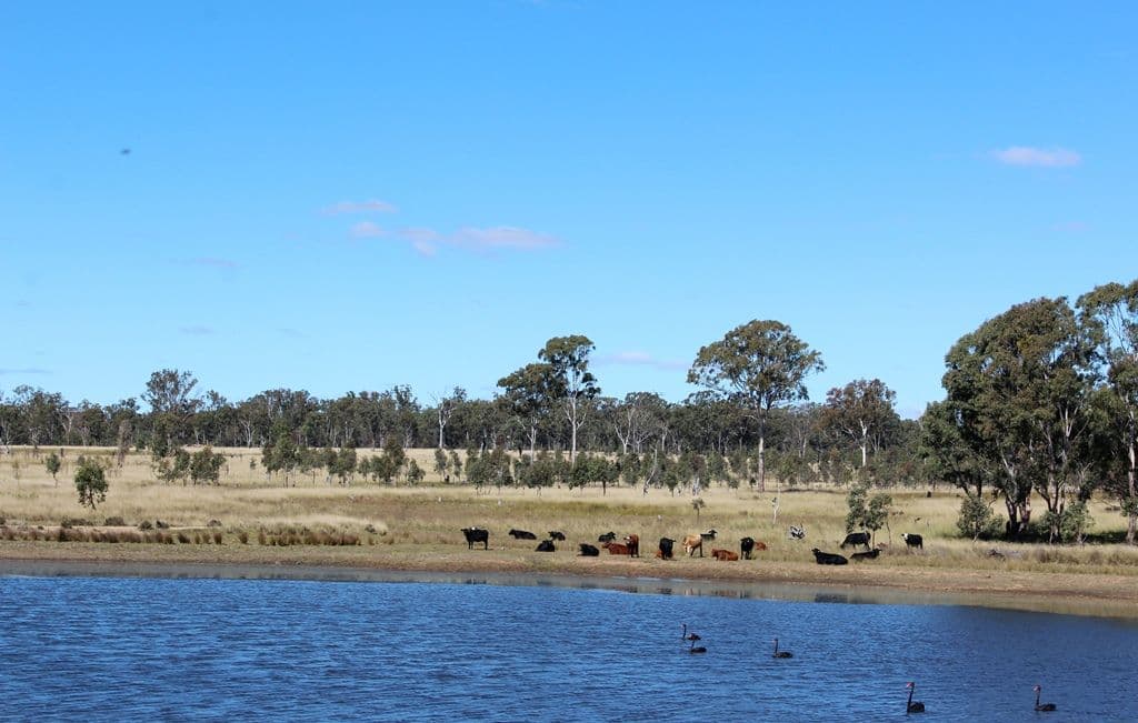 98 Orchard Road, Loch Lomond QLD 4370, Loch Lomond - Thumbnail 5