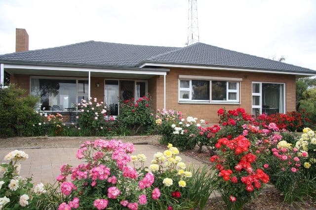 12964 Sturt Highway, WAIKERIE SA 5330, Waikerie - Image 1