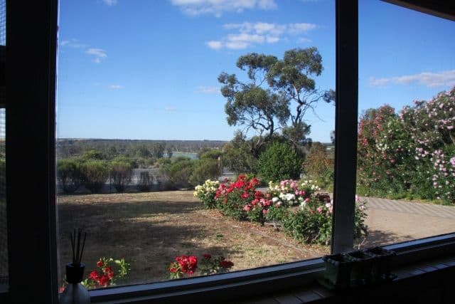 12964 Sturt Highway, WAIKERIE SA 5330, Waikerie - Thumbnail 8