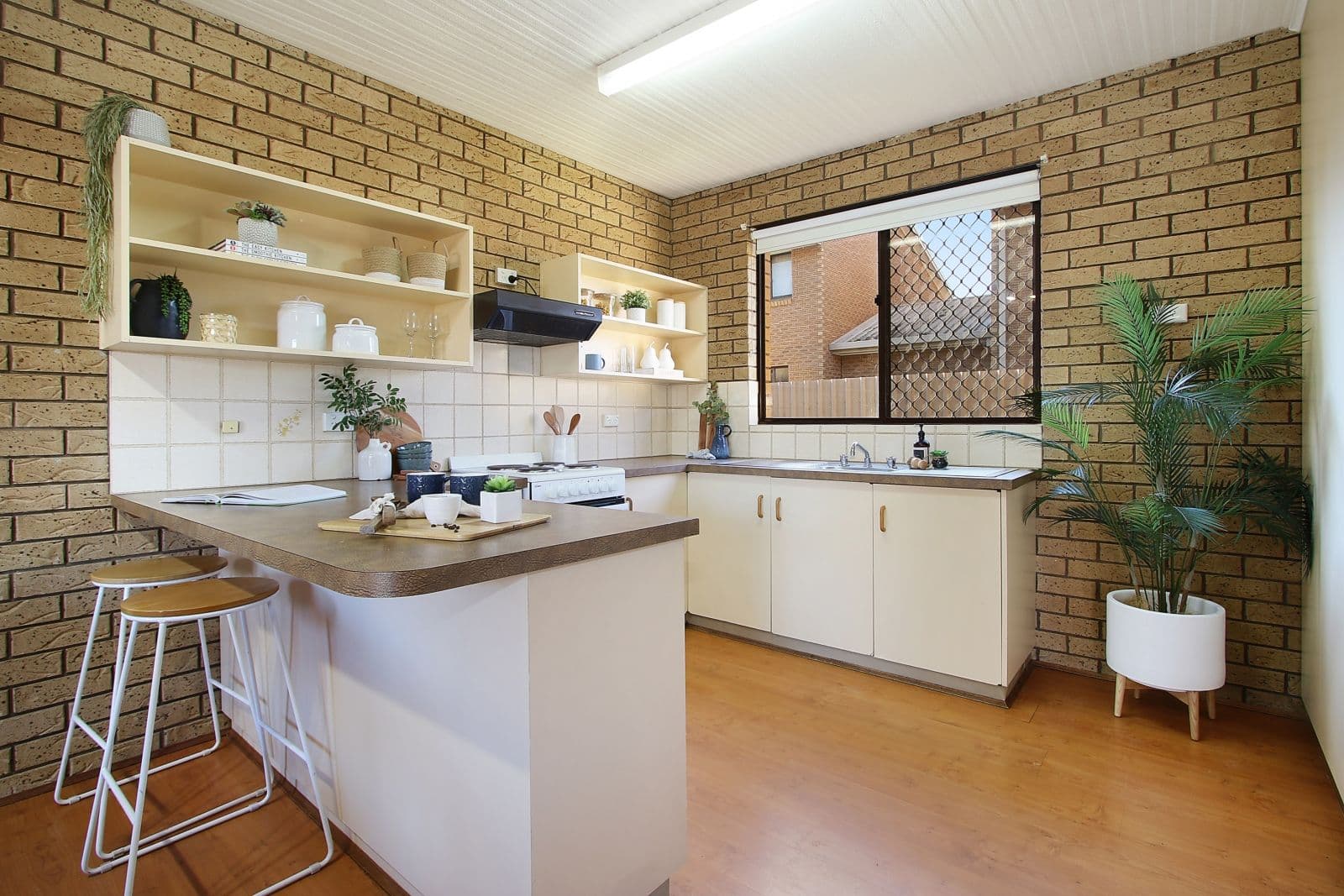 411 Bevan Street, Lavington NSW 2641, Lavington - Thumbnail 4