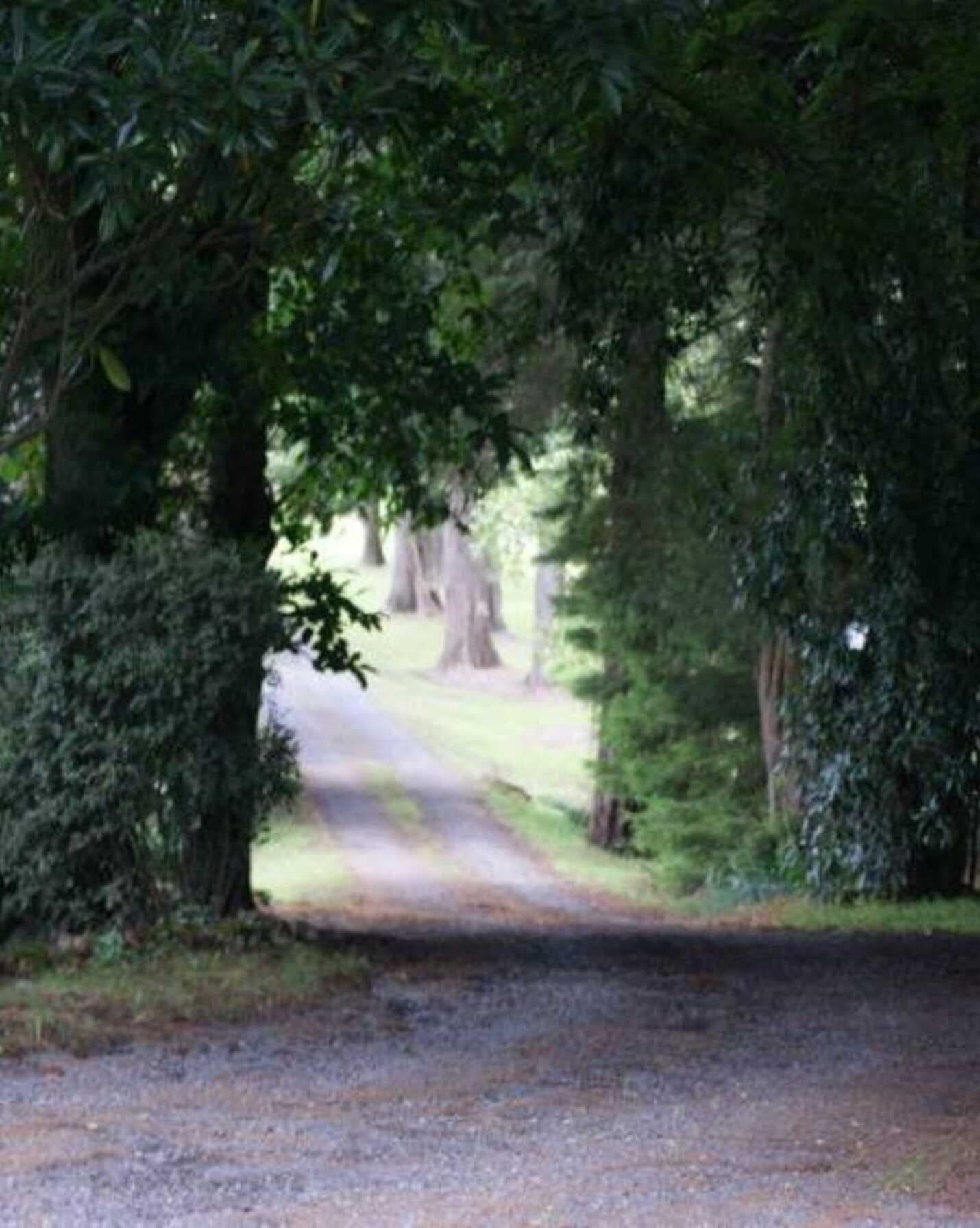 Collingwood Werai Road Exeter, Exeter - Thumbnail 8