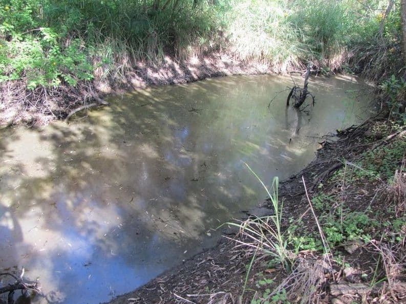 3 Lindherr Road, Yarwun QLD 4694, Yarwun - Thumbnail 8
