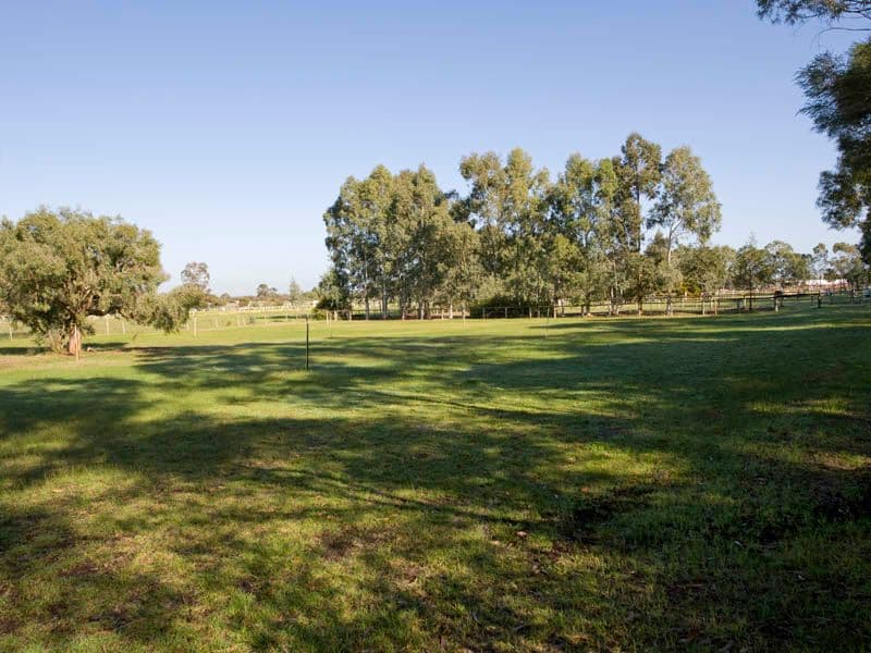 86 Victoria Road, WATTLE GROVE WA 6107, Wattle Grove - Thumbnail 6
