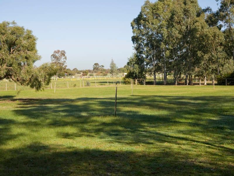 86 Victoria Road, WATTLE GROVE WA 6107, Wattle Grove - Thumbnail 7