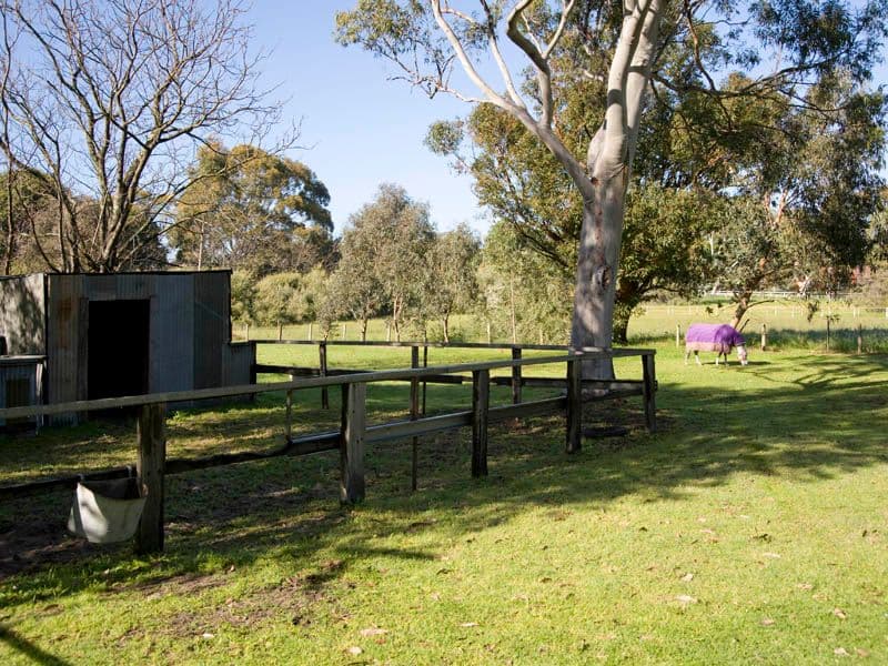 86 Victoria Road, WATTLE GROVE WA 6107, Wattle Grove - Thumbnail 8