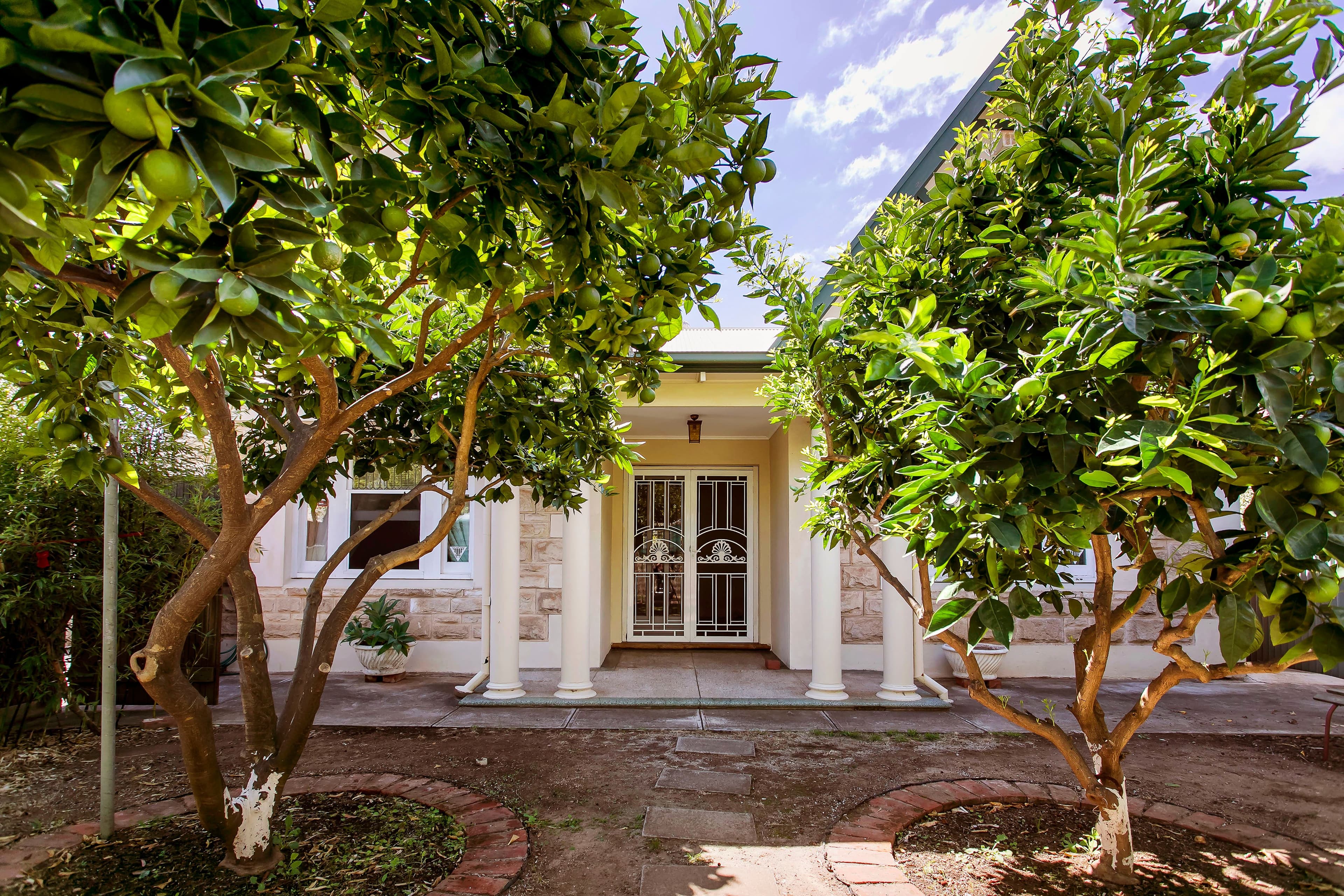 22 Angus Street, Goodwood SA 5034, Goodwood - Thumbnail 2