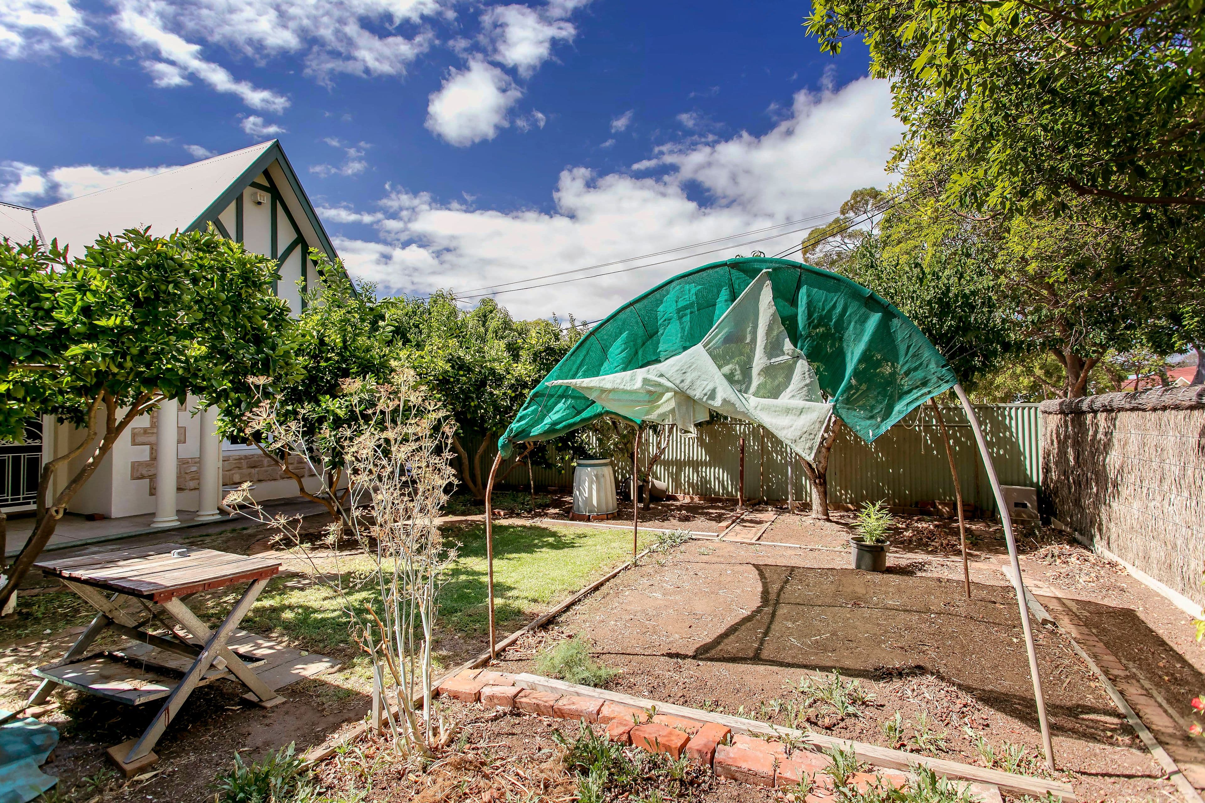 22 Angus Street, Goodwood SA 5034, Goodwood - Thumbnail 3