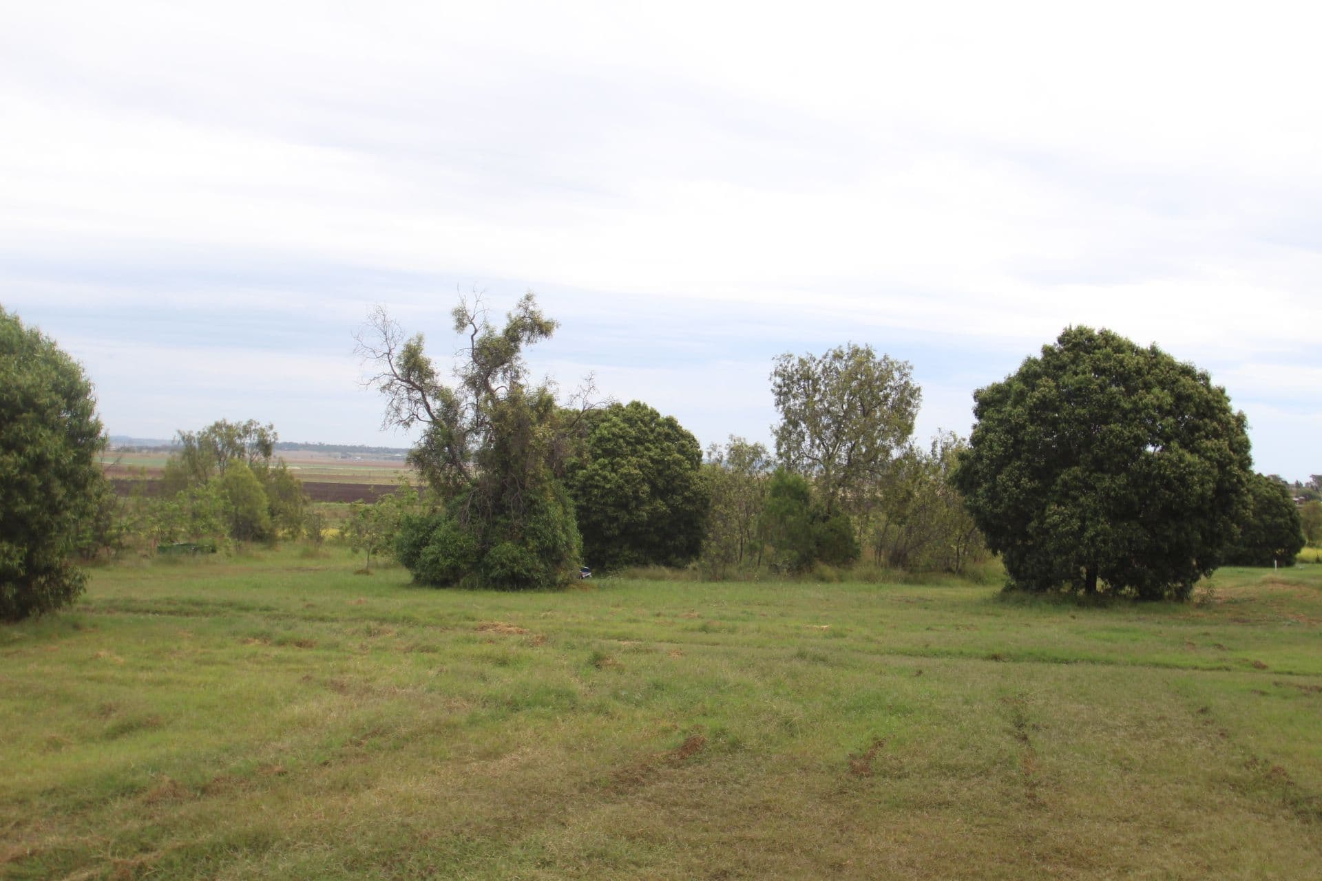 29 Goombungee Road, Kingsthorpe QLD 4400, Kingsthorpe - Thumbnail 3