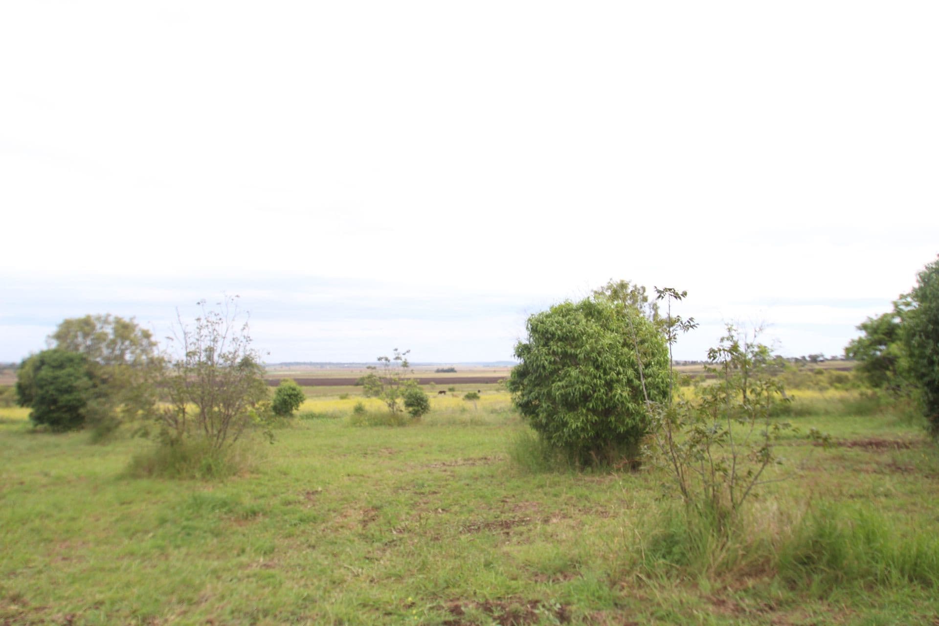 29 Goombungee Road, Kingsthorpe QLD 4400, Kingsthorpe - Thumbnail 4