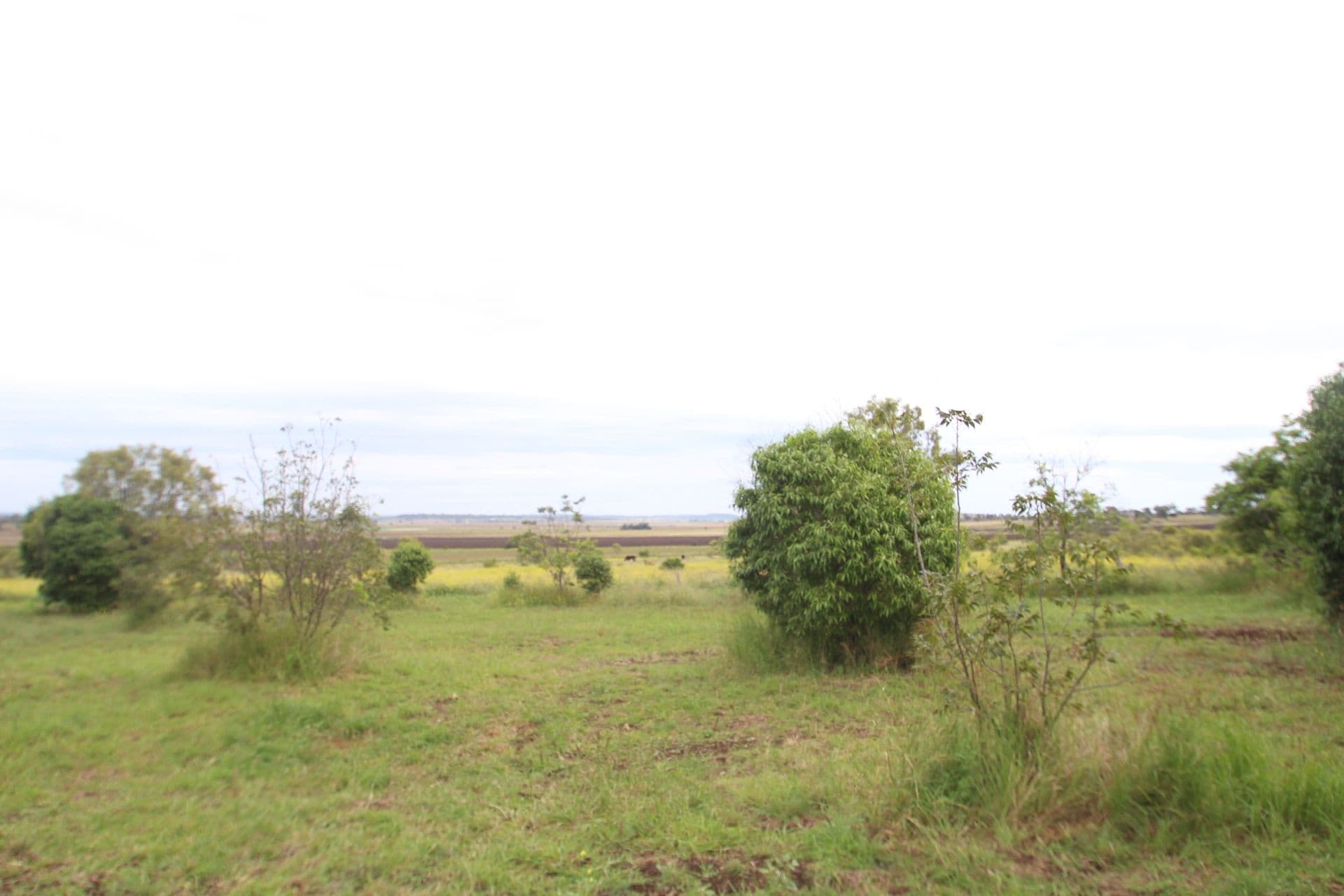 29 Goombungee Road, Kingsthorpe QLD 4400, Kingsthorpe - Thumbnail 5