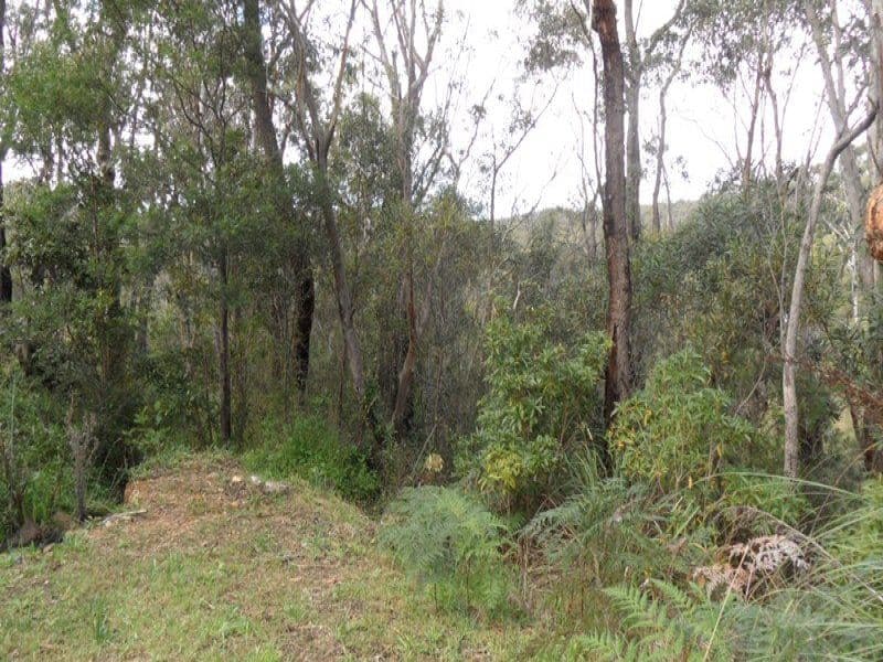 49-59 Charles Street, Lawson NSW 2783, Lawson - Thumbnail 4