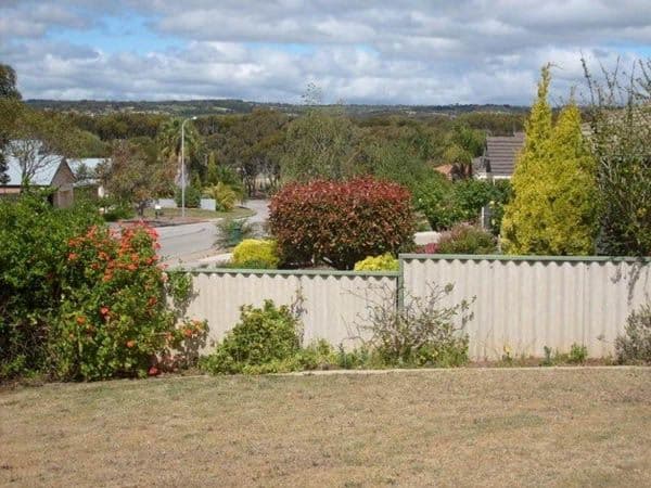 8 Coorumbena Crescent, MORPHETT VALE SA 5162, Morphett Vale - Thumbnail 6