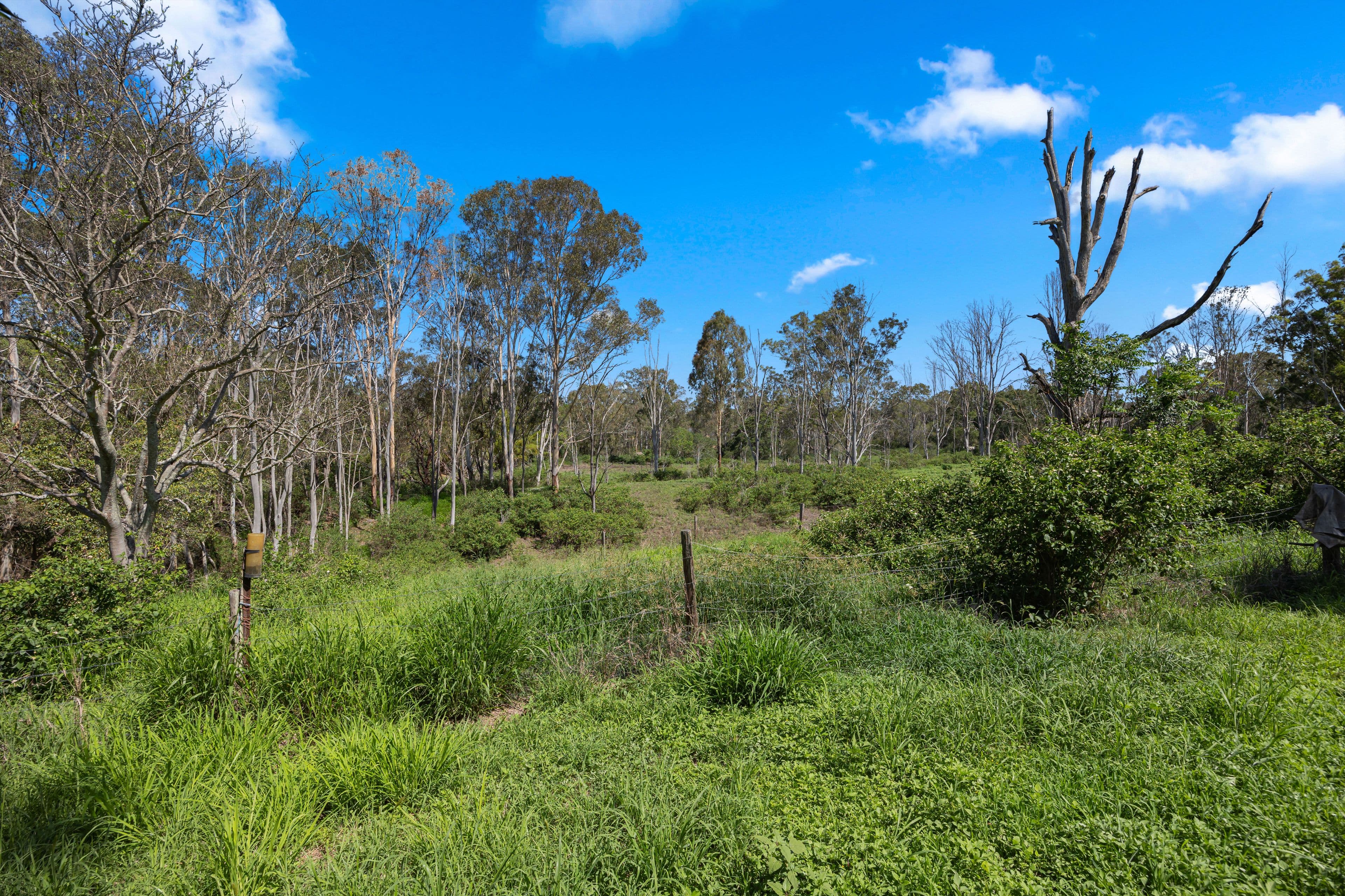 94 River Road, Howard QLD 4659, Howard - Thumbnail 6