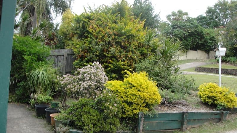 25 Hope Street, KINGSTON QLD 4114, Kingston - Thumbnail 5