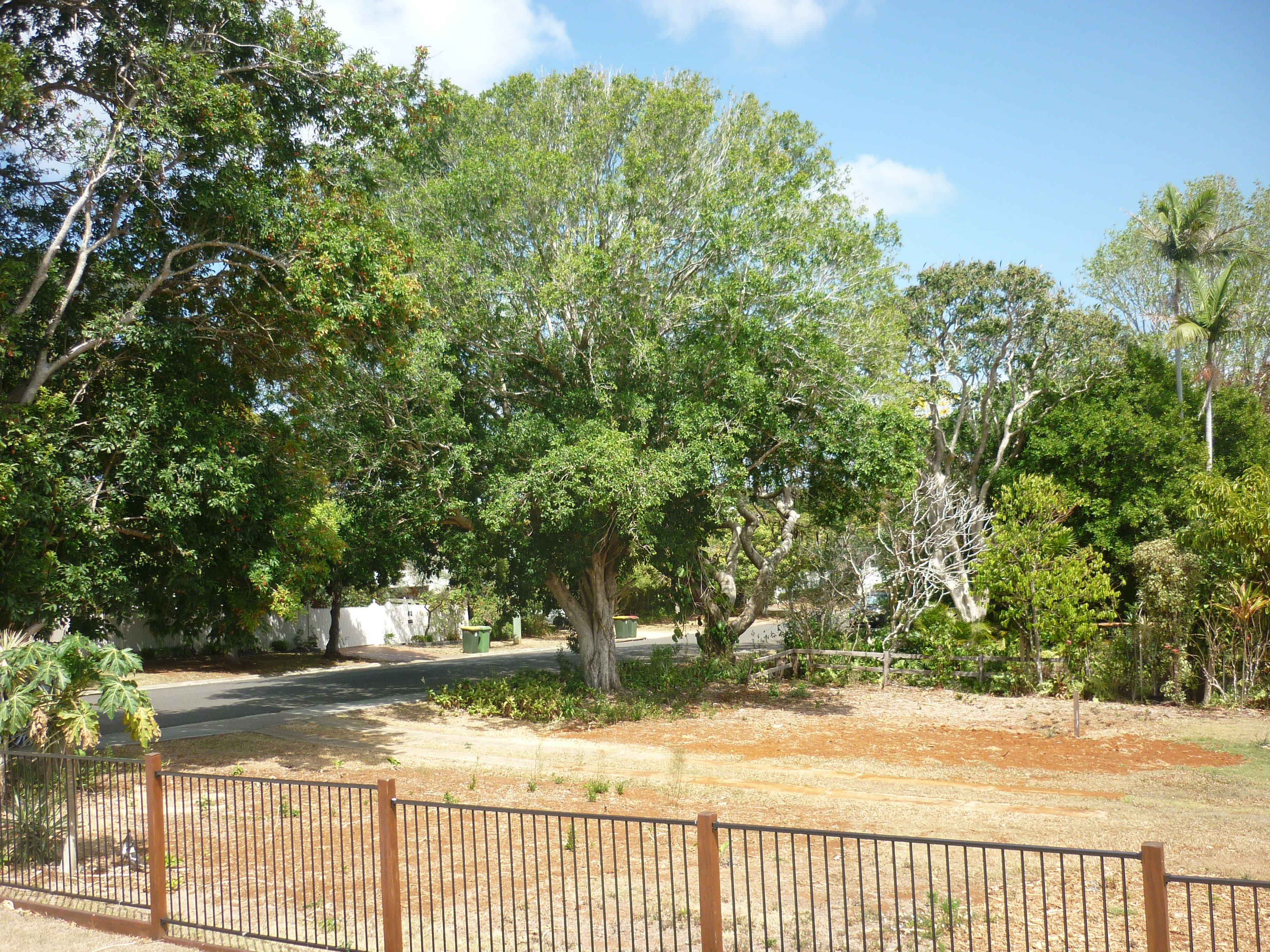 57a Eckersley Avenue, Buderim QLD 4556, Buderim - Thumbnail 3