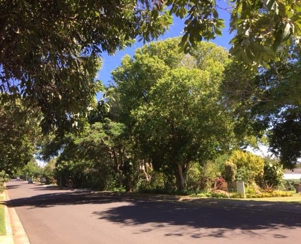 57a Eckersley Avenue, Buderim QLD 4556, Buderim - Thumbnail 8