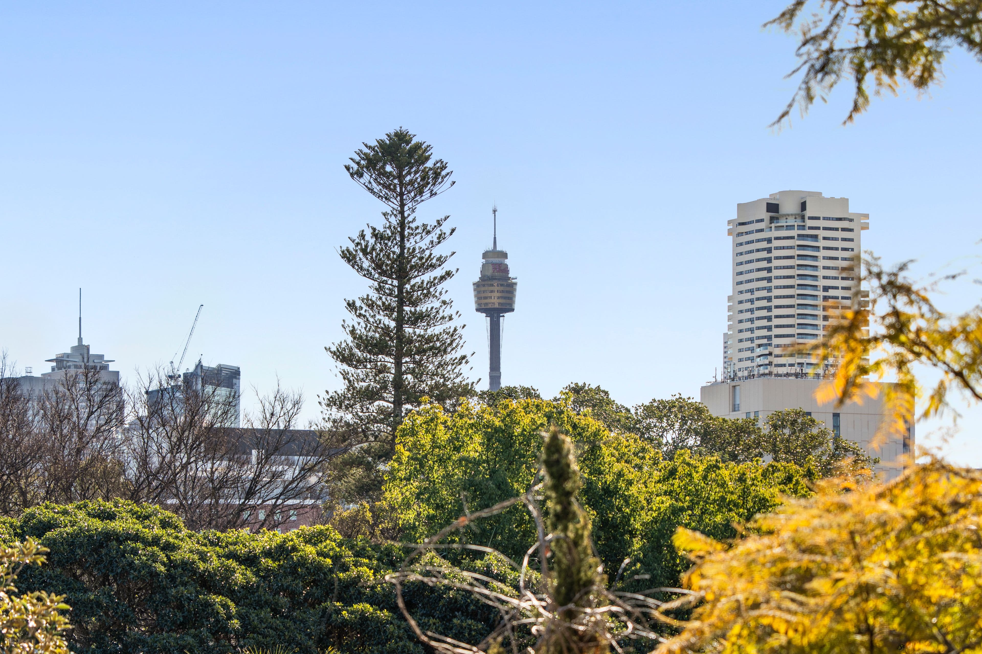 208 Glenmore Road, Paddington NSW 2021, Paddington - Thumbnail 7