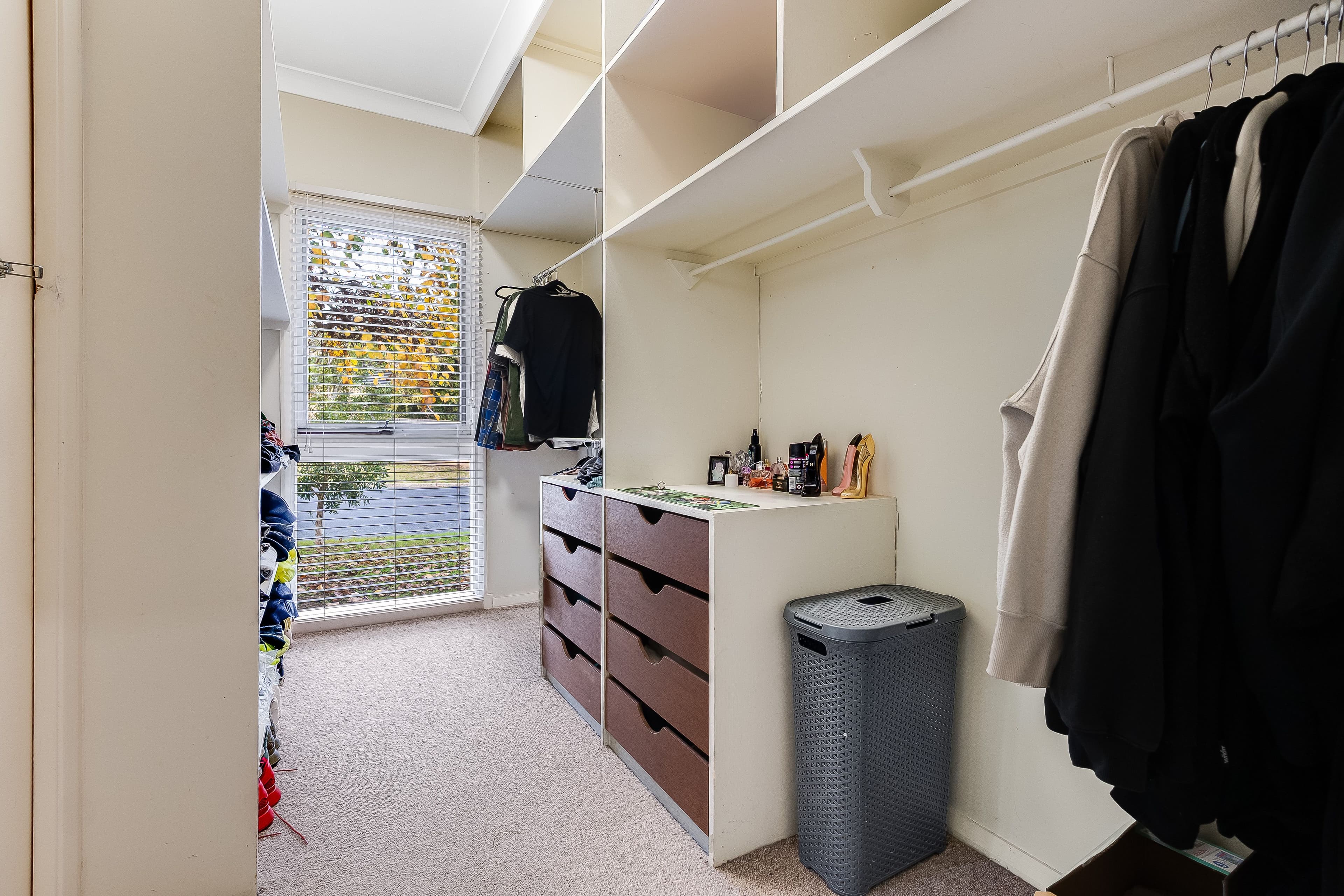 907 Pemberton Street, West Albury NSW 2640, West Albury - Thumbnail 8