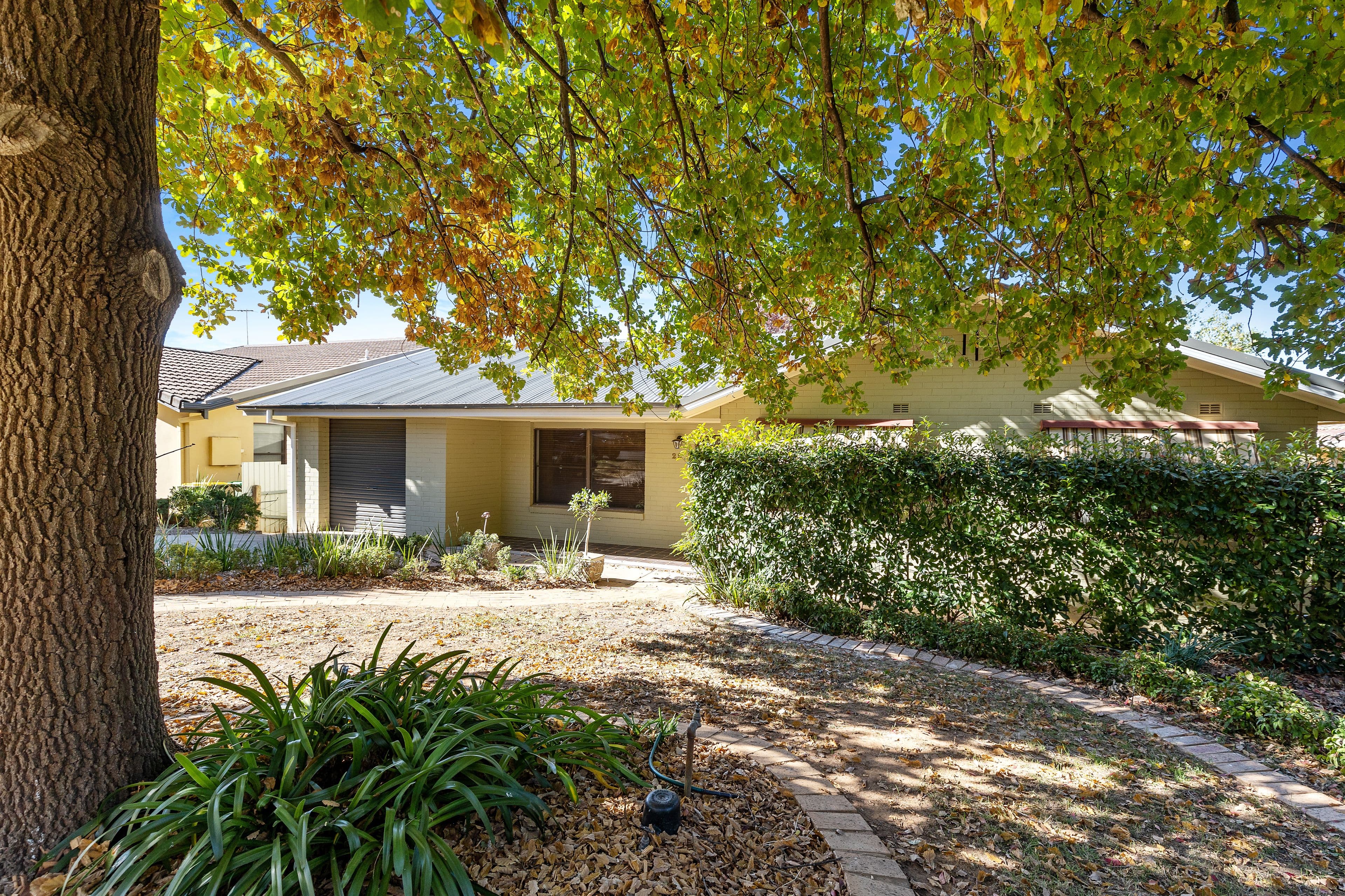 29 Bellevue Parade, Kooringal NSW 2650, Kooringal - Image 1