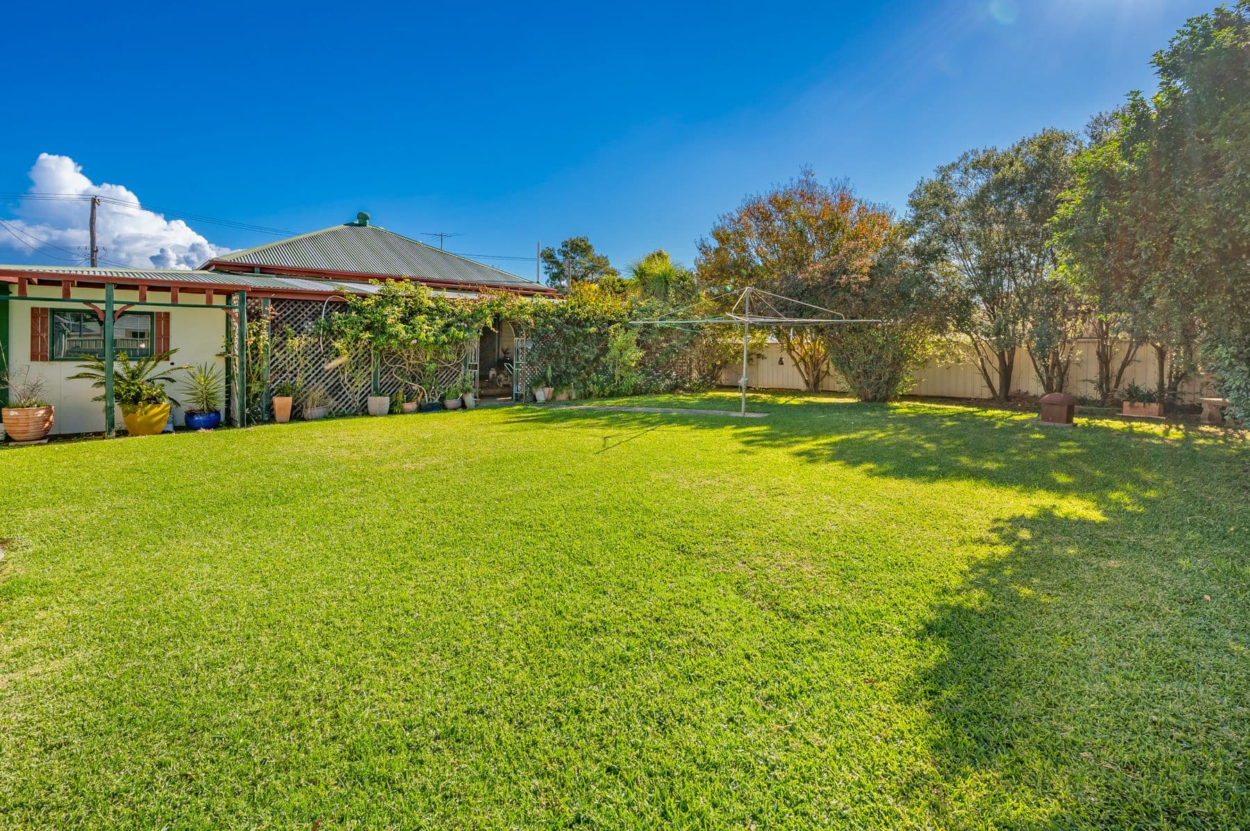 38 Bishopgate Street, Singleton NSW 2330, Singleton - Thumbnail 4