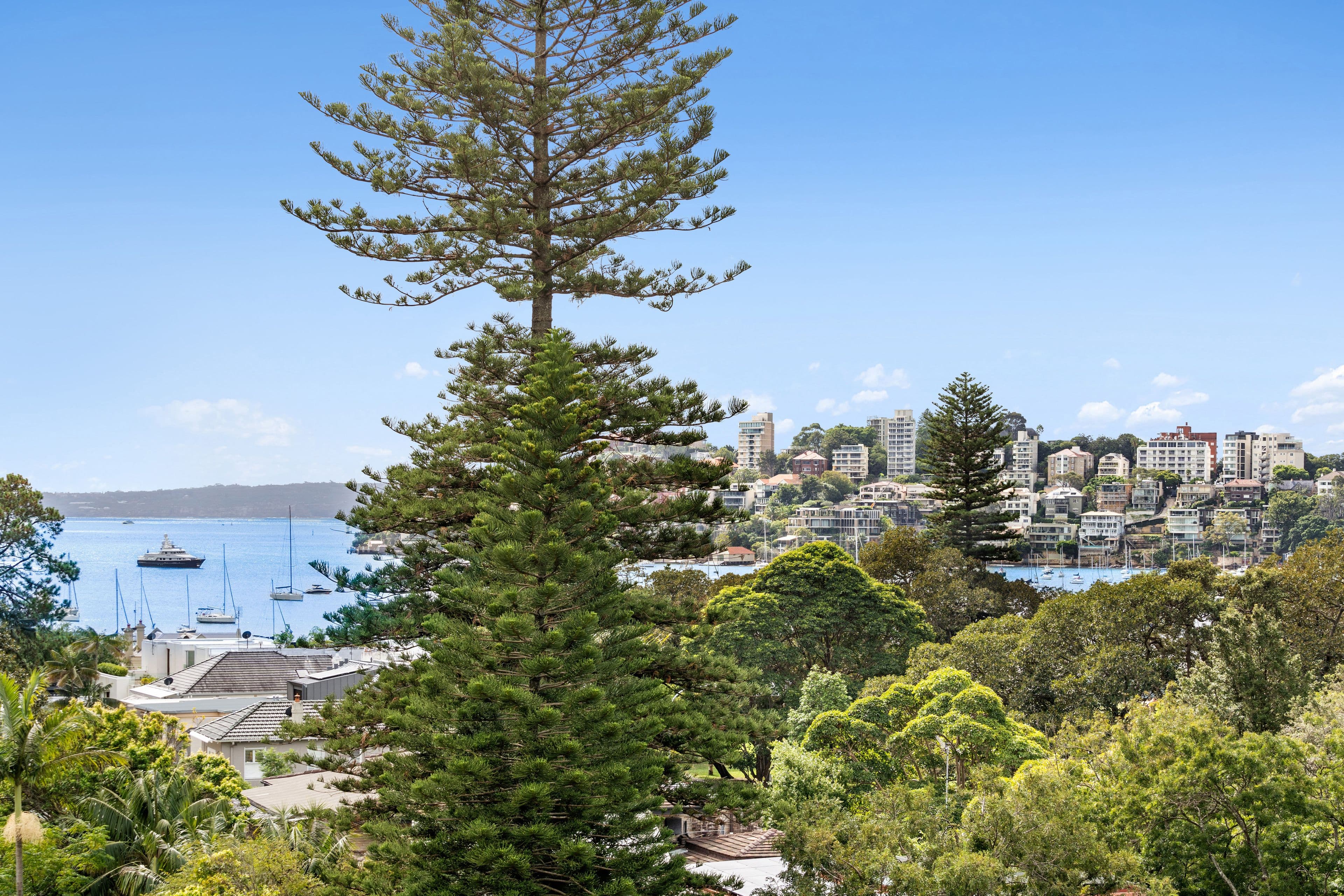 53 Ocean Avenue, Double Bay NSW 2028, Double Bay - Thumbnail 5