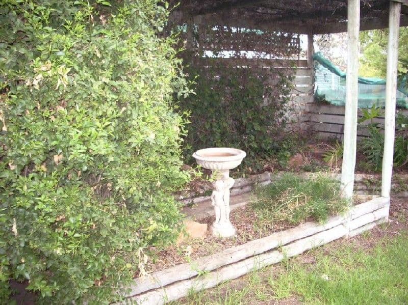 13 Eveline Street, BORDERTOWN SA 5268, Bordertown - Thumbnail 5
