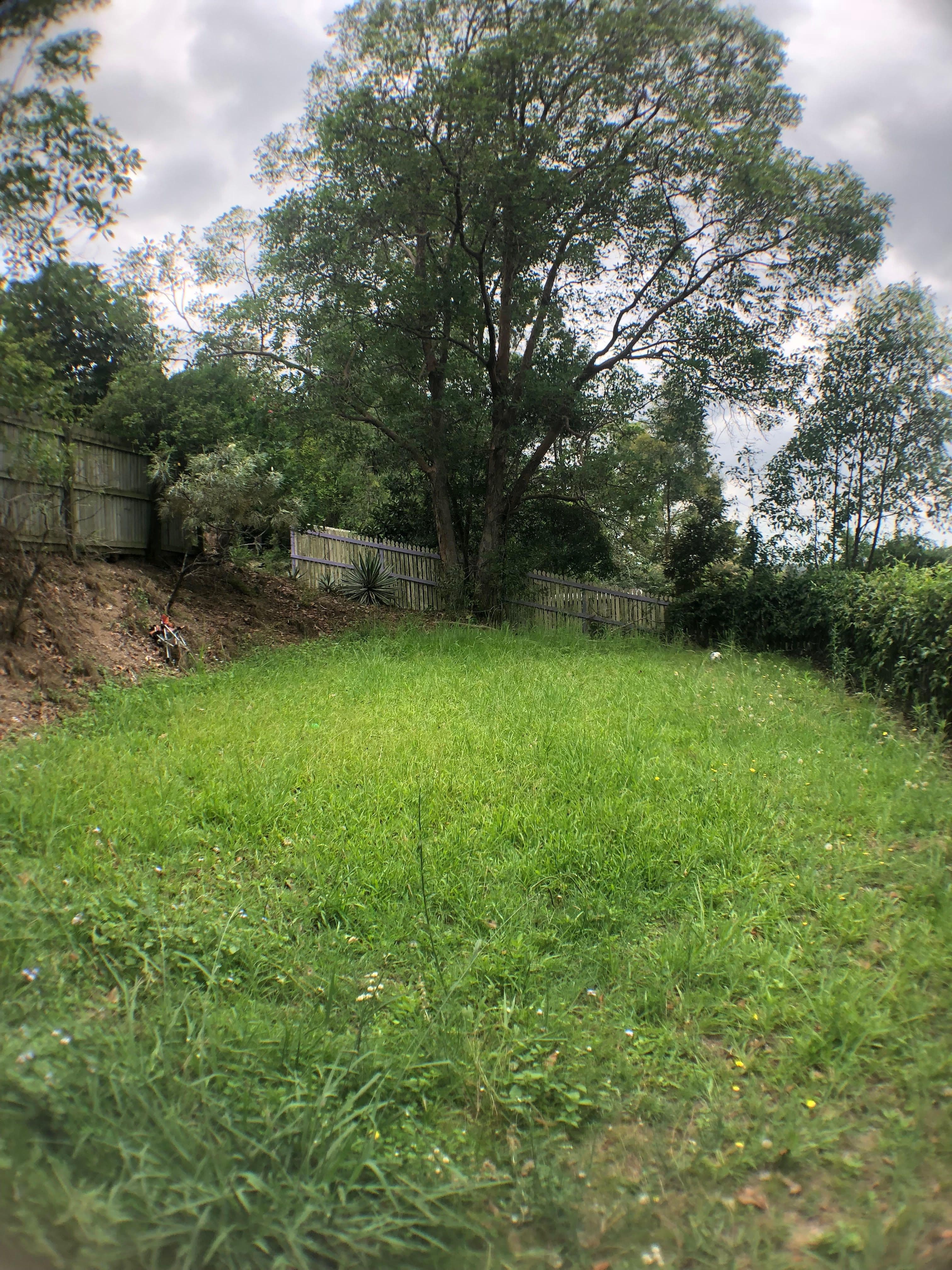 54 Cobbity Crescent, Arana Hills QLD 4054, Arana Hills - Thumbnail 7