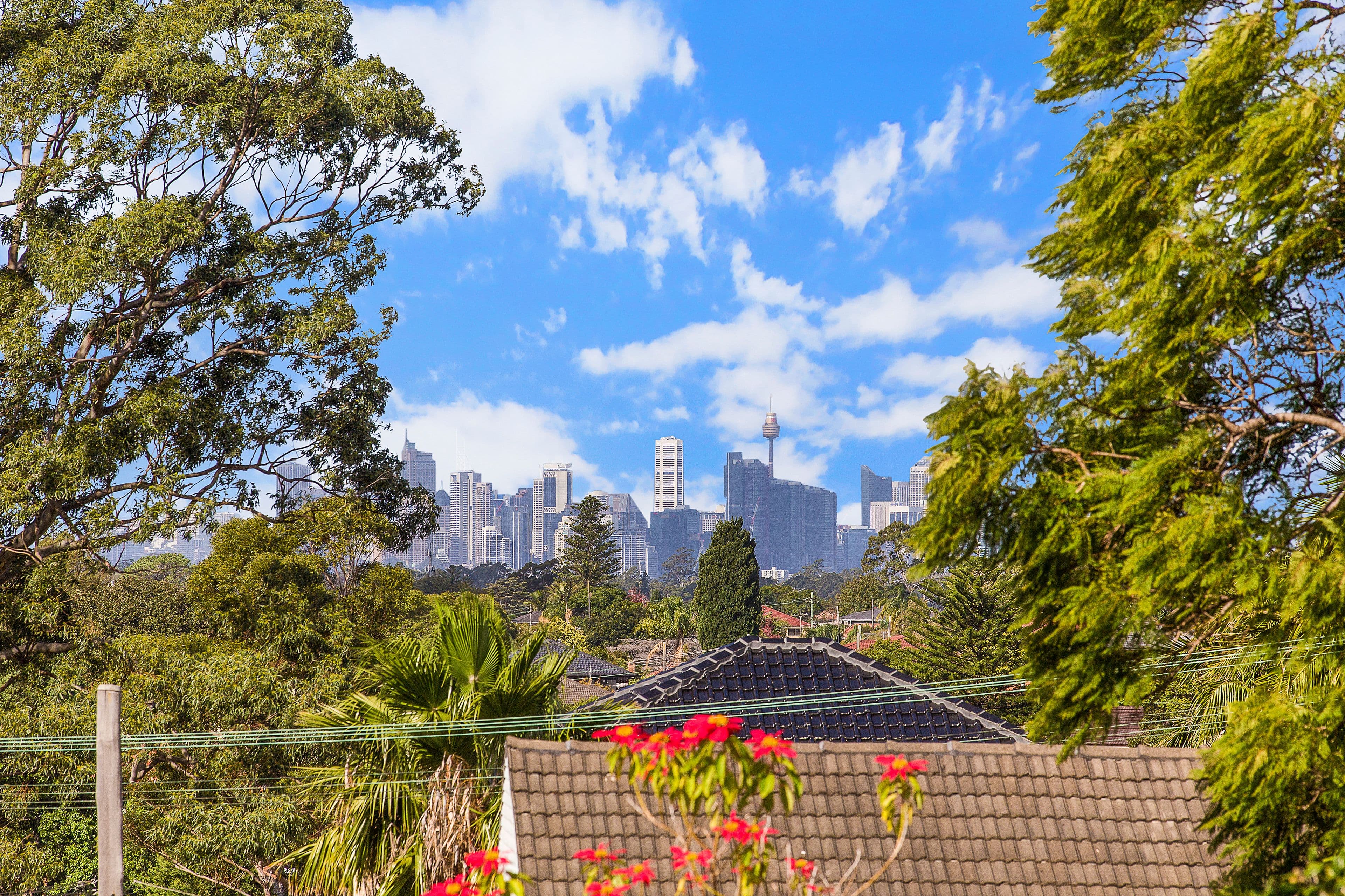 29 Folkard Street, North Ryde - Thumbnail 5