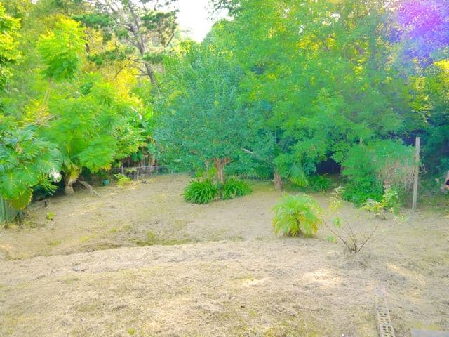 1 Reynolds Road, AVOCA BEACH NSW 2251, Avoca Beach - Thumbnail 7