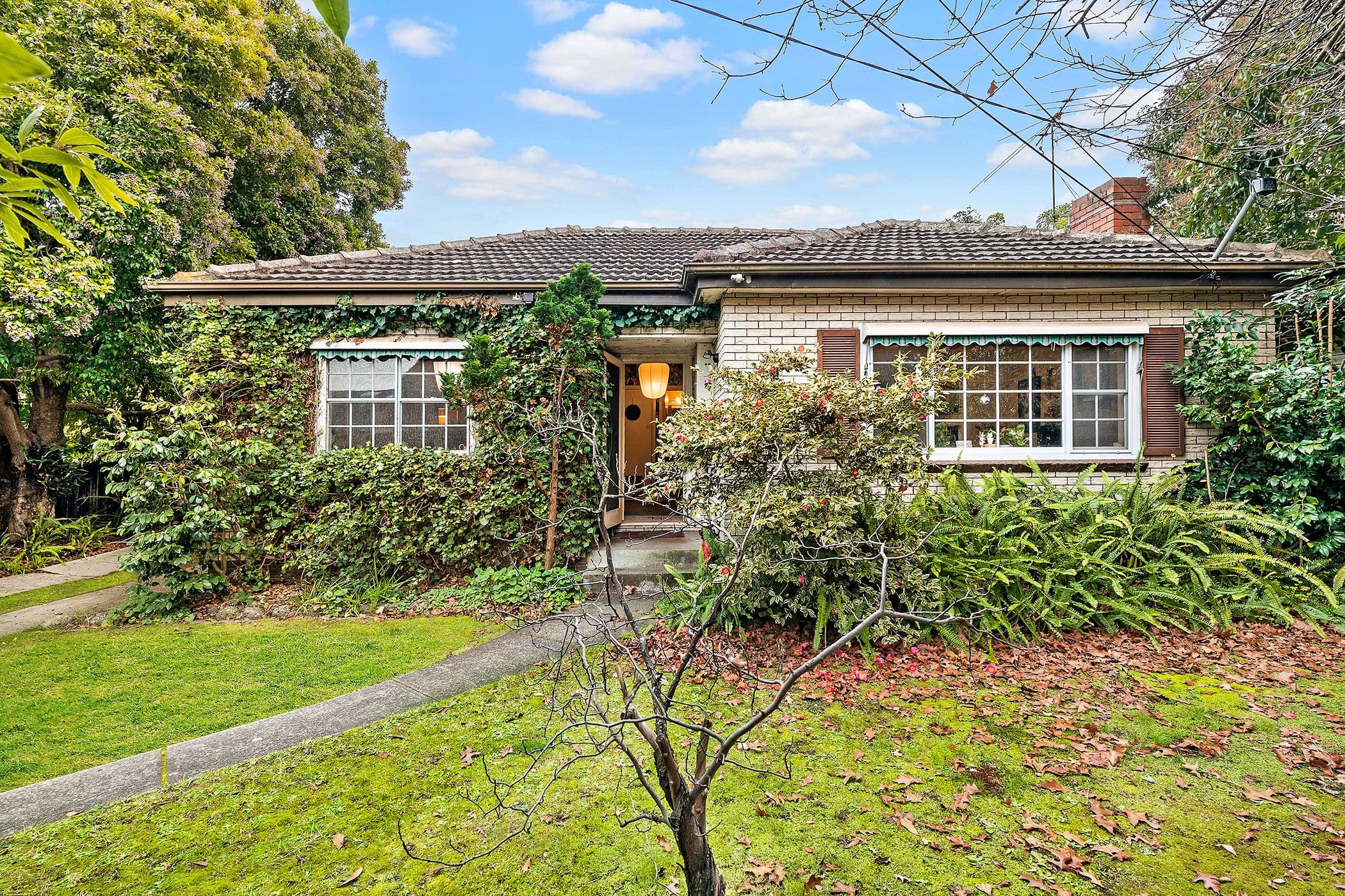 19 Adeline Street, Greensborough VIC 3088, Greensborough - Thumbnail 2