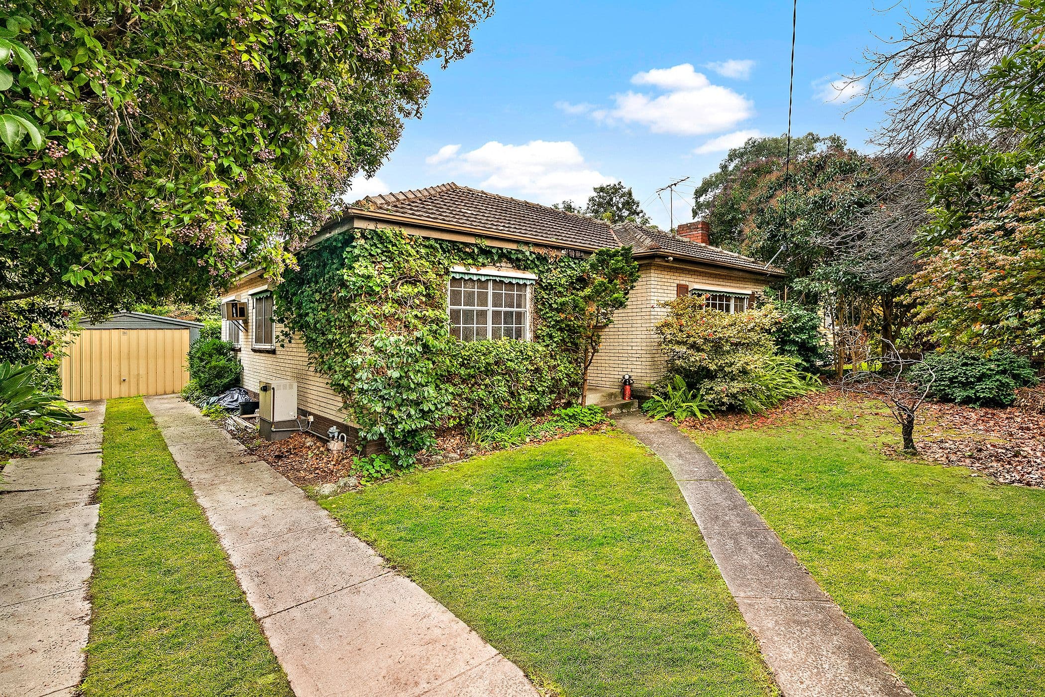 19 Adeline Street, Greensborough VIC 3088, Greensborough - Thumbnail 3