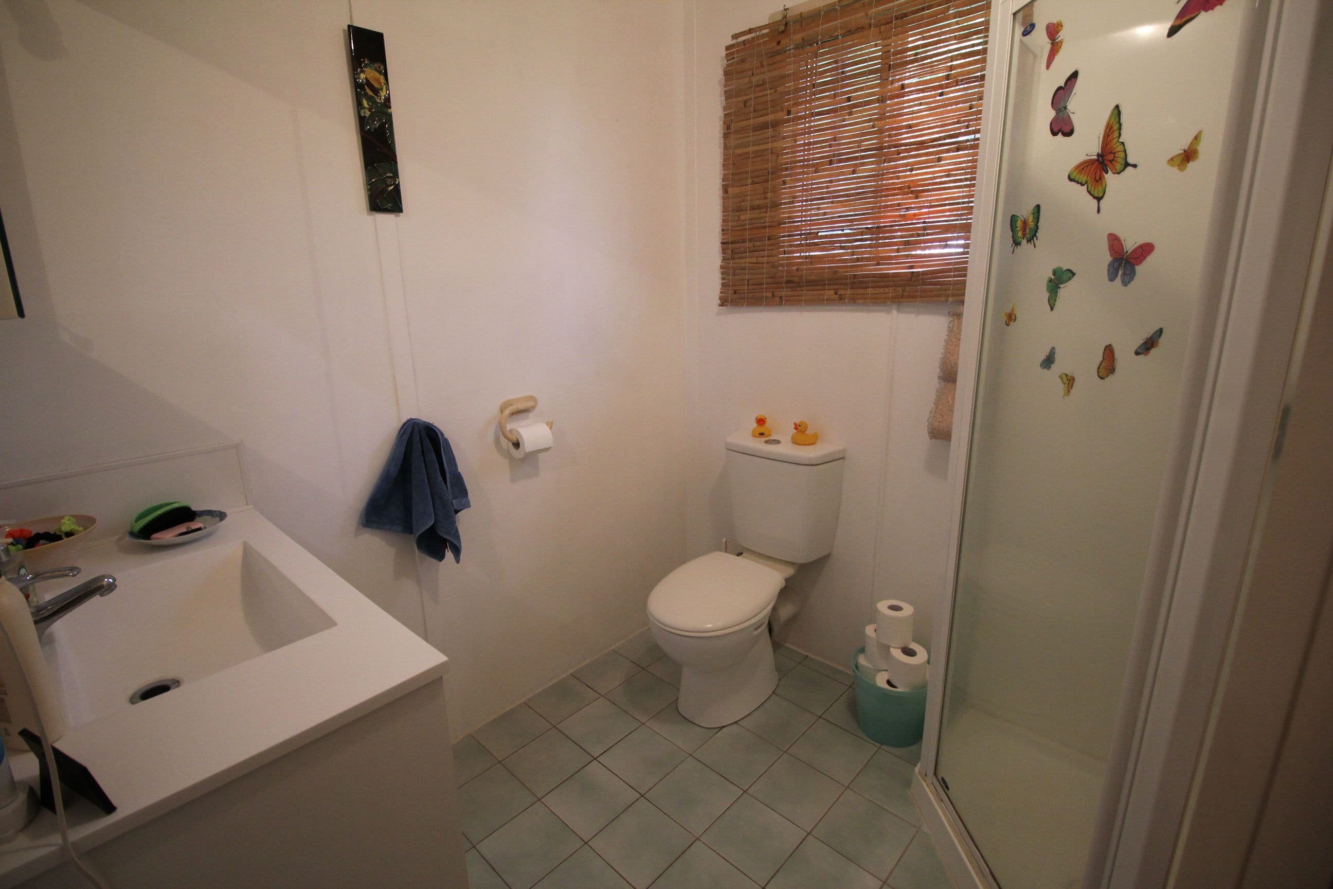 9 Toobanna Street, Toobanna QLD 4850, Toobanna - Thumbnail 5