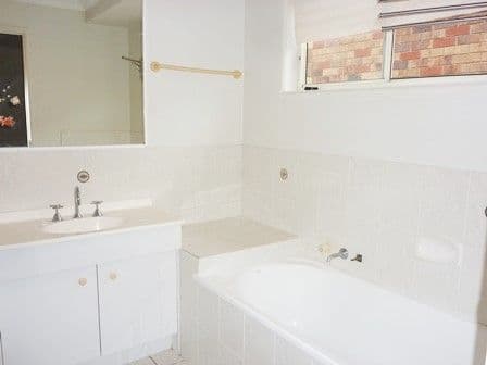 4 Perulpa Street, Tingalpa QLD 4173, Tingalpa - Thumbnail 7