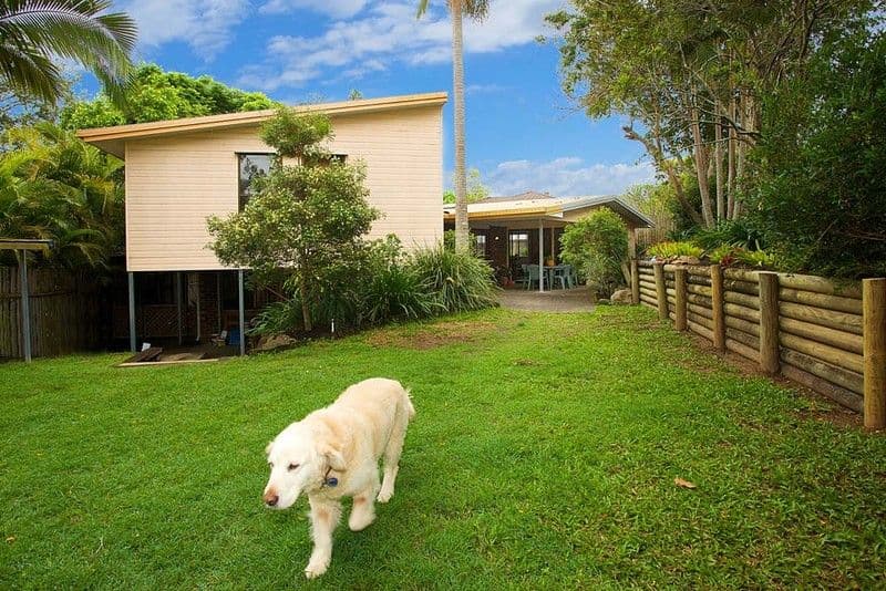 48 Eranga Street, THE GAP QLD 4061, The Gap - Thumbnail 3