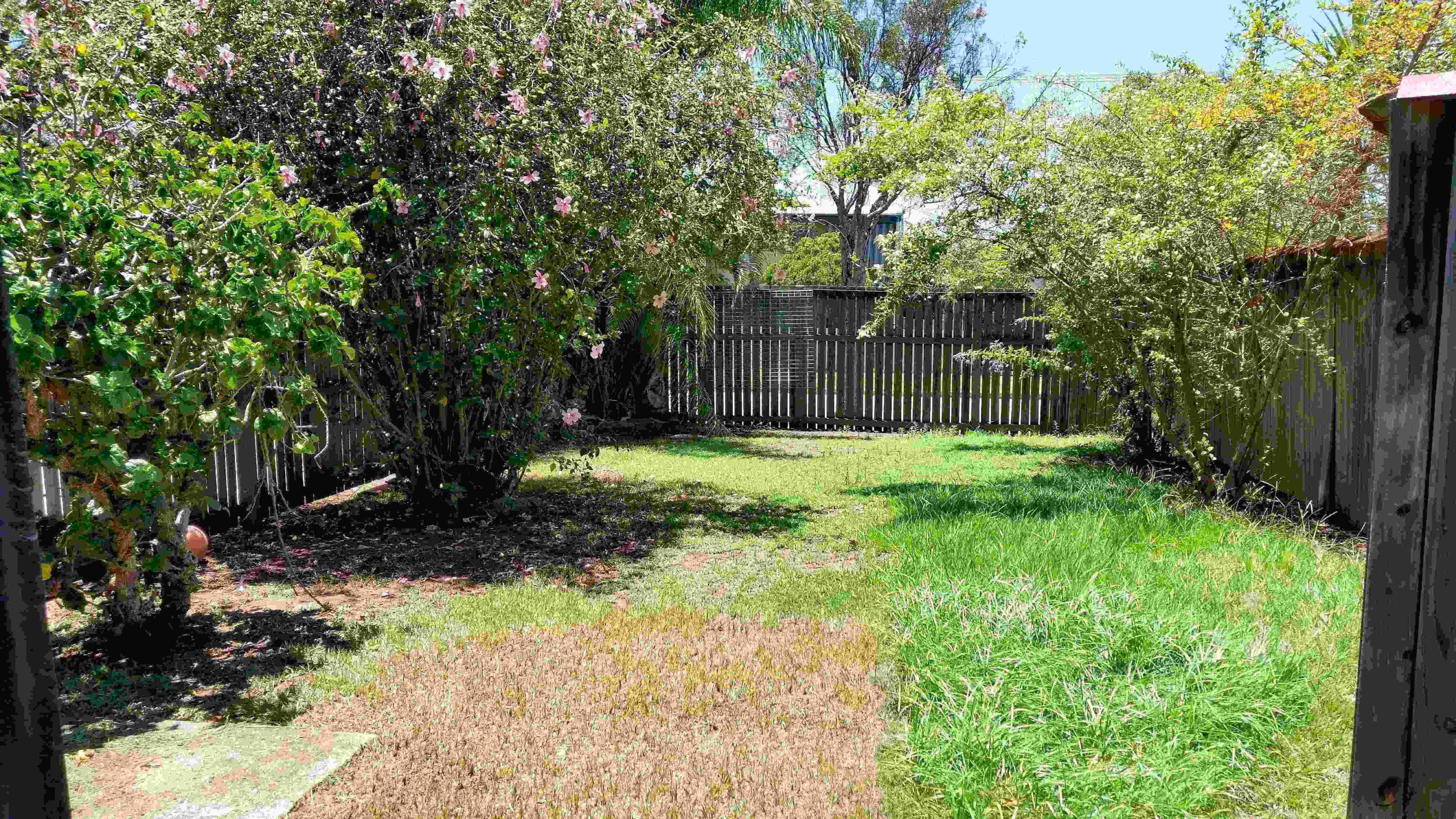 2 McGregor Street, Kippa-Ring QLD 4021, Kippa-Ring - Thumbnail 3