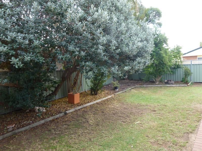 6 Topaz Street, DUBBO NSW 2830, Dubbo - Thumbnail 8