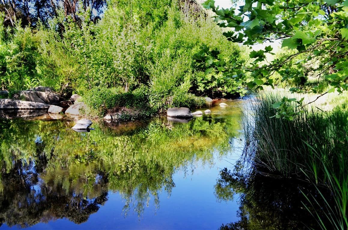 33 Rimmers Lane, Adelong - Thumbnail 2
