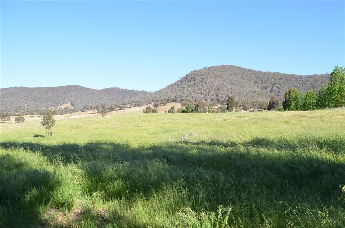 33 Rimmers Lane, Adelong - Thumbnail 4