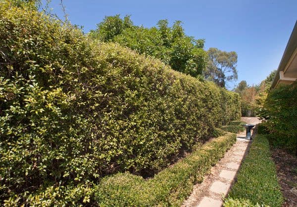 14 Manna Close, PALMERSTON ACT 2913, Palmerston - Thumbnail 2