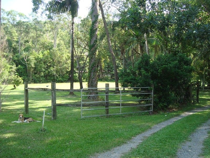 1368 Pine Creek Road, EAST TRINITY QLD 4871, East Trinity - Thumbnail 5