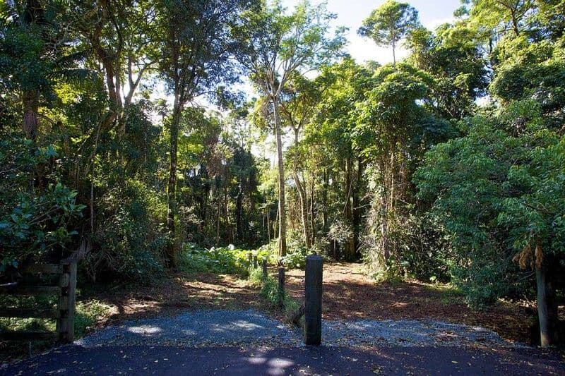 Lot 2 1964 Mt Glorious Road, Mount Glorious QLD 4520, Mount Glorious - Thumbnail 5
