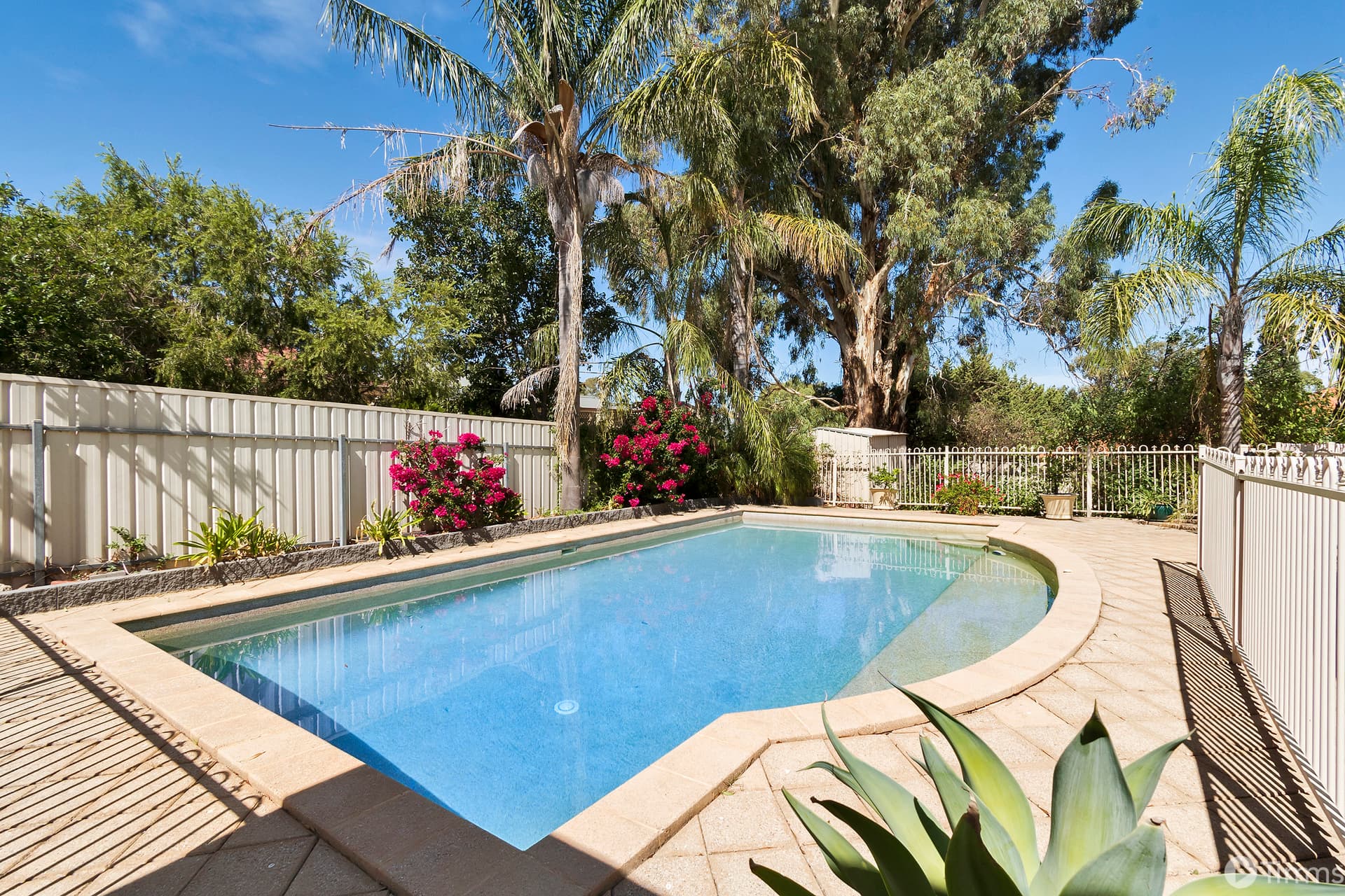 36 Grand Boulevard, Craigburn Farm - Image 1