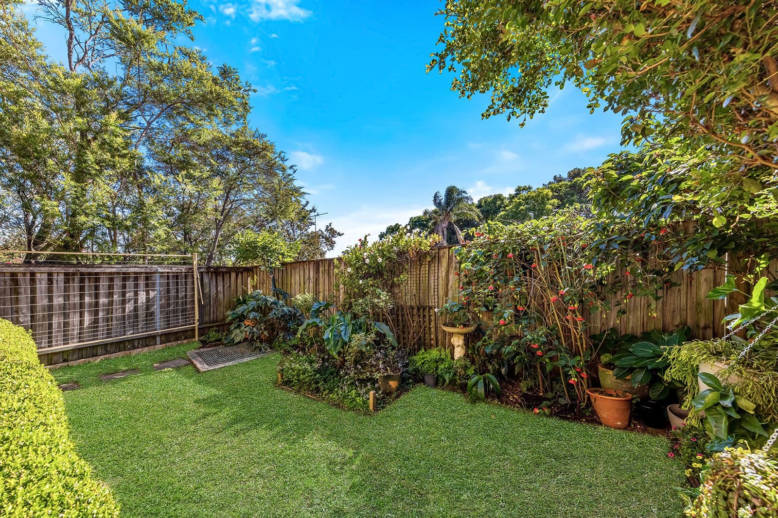 315 KISSING POINT Road, Dundas NSW 2117, Dundas - Thumbnail 5