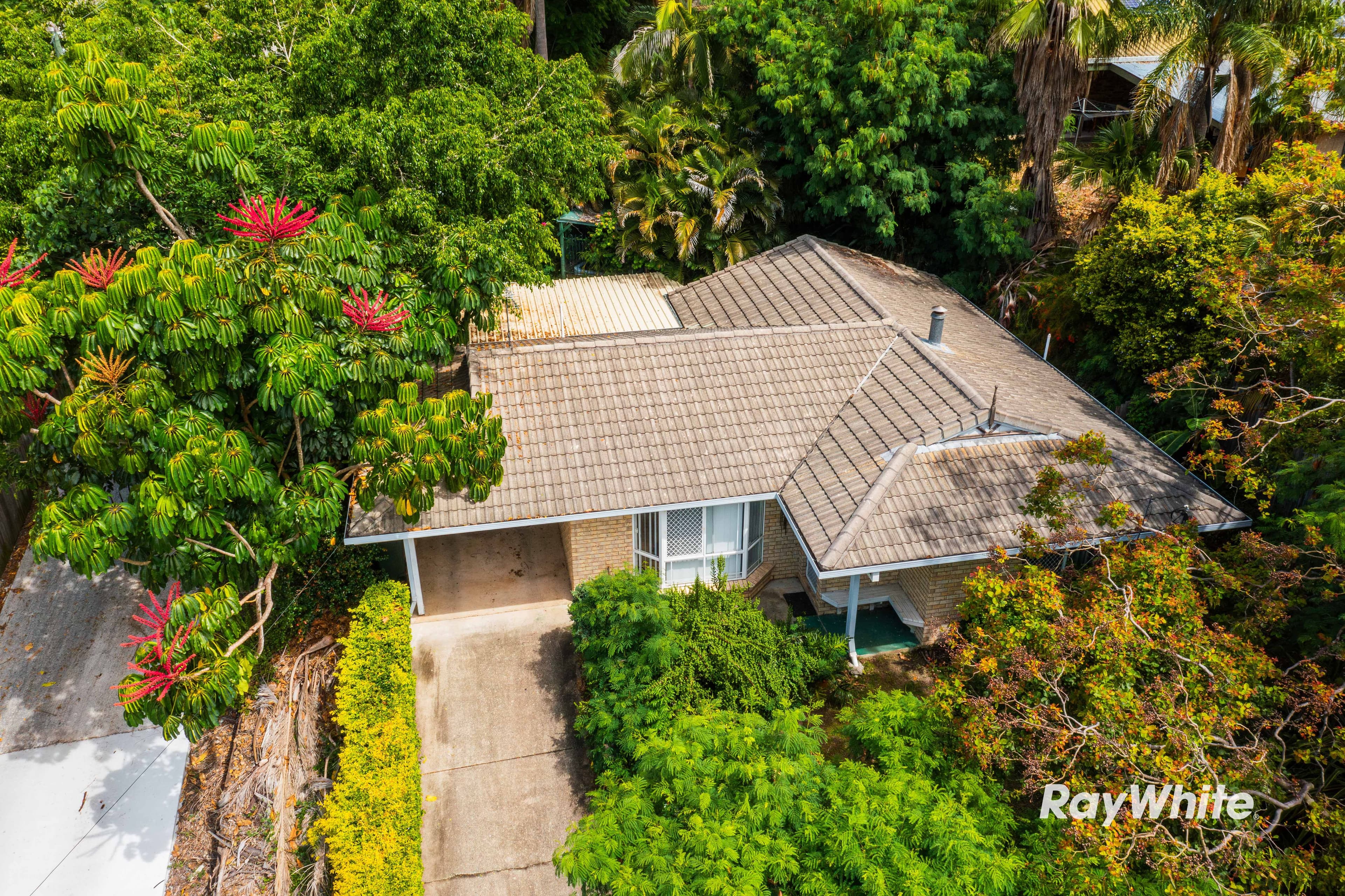 29 Avonmore Street, Edens Landing QLD 4207, Edens Landing - Thumbnail 2