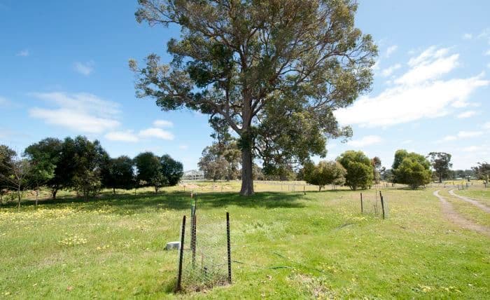 Lot 102 Dean Road, NANNUP WA 6275, Nannup - Thumbnail 3
