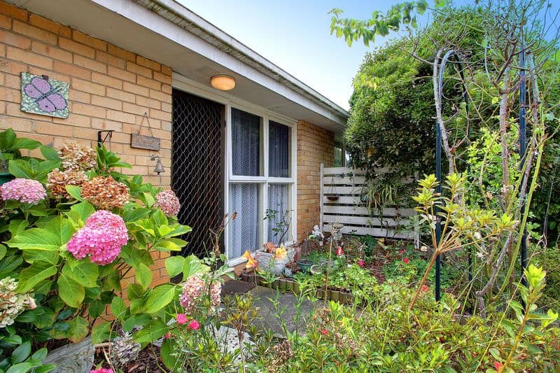 4 Campbell Grove, MORNINGTON VIC 3931, Mornington - Thumbnail 3
