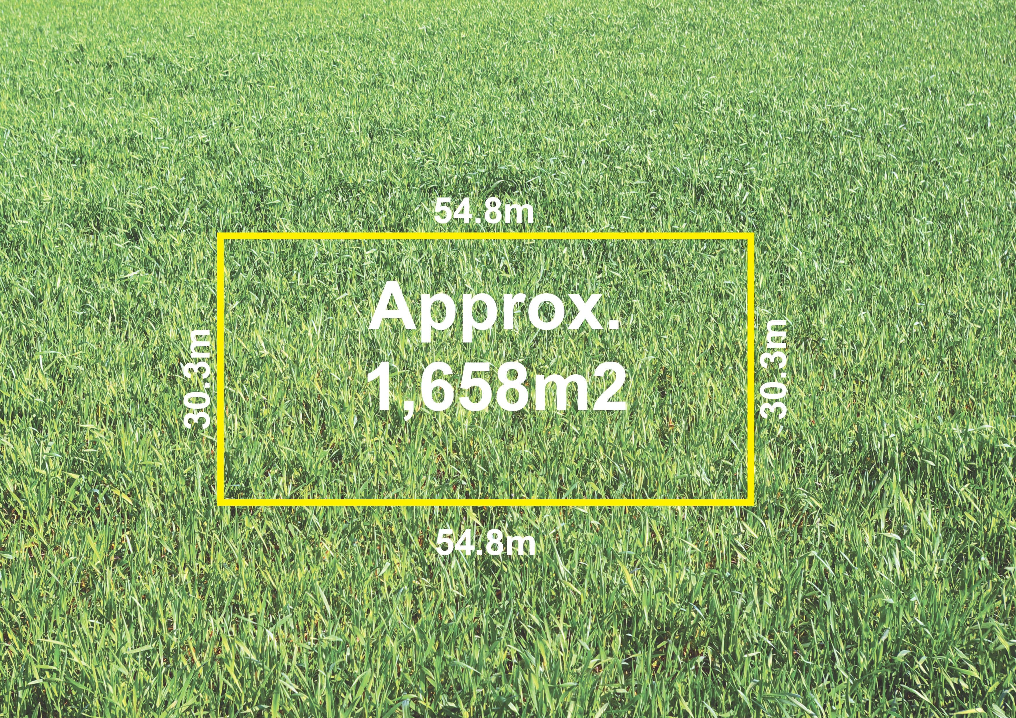 13 Wilson Street, Ferntree Gully VIC 3156, Ferntree Gully - Thumbnail 3
