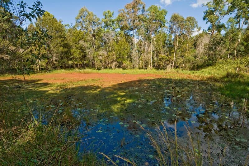 127 - 129 Culgoa Crescent, LOGAN VILLAGE QLD 4207, Logan Village - Thumbnail 3