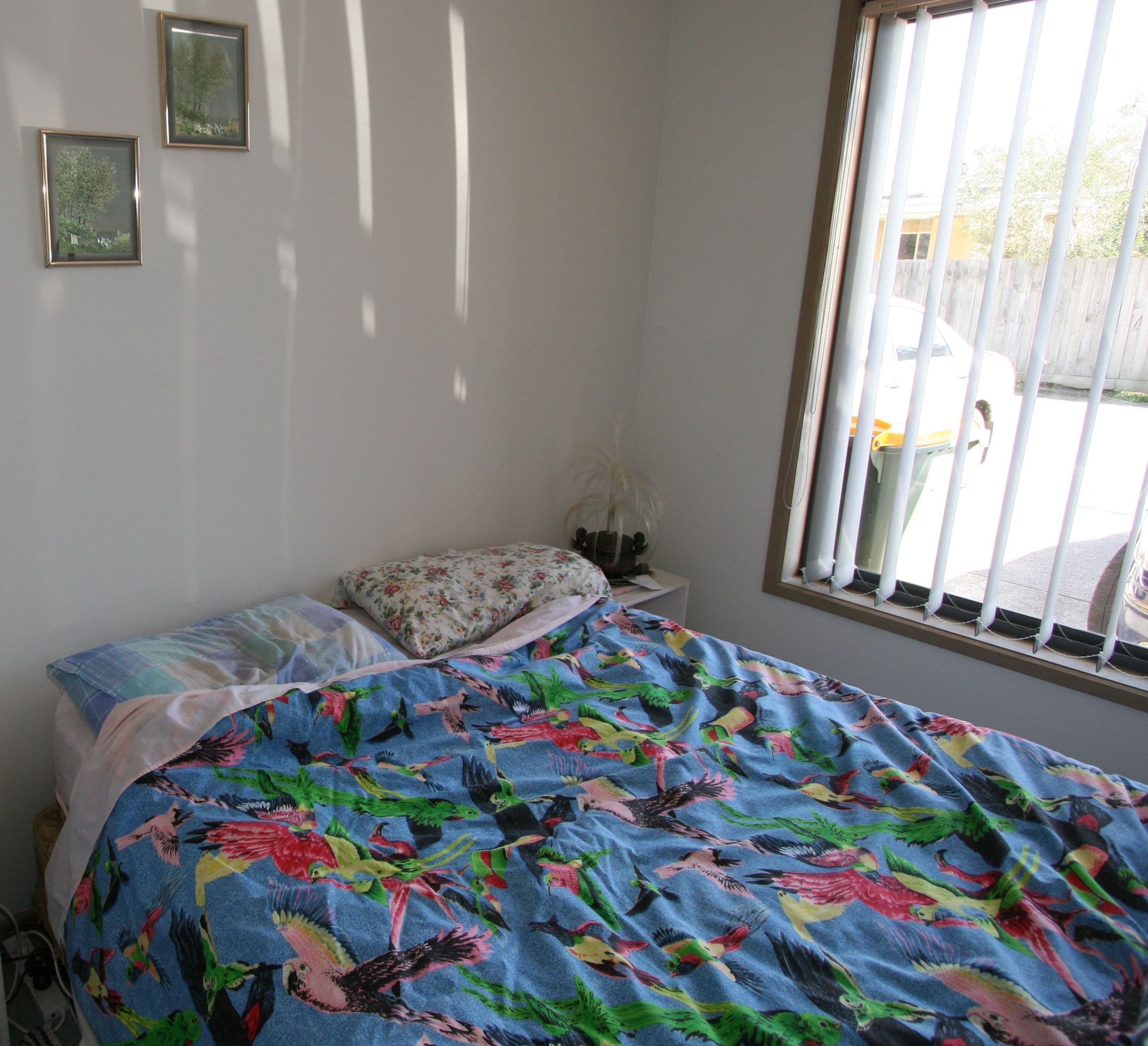 13 Douglas Road, Cowes VIC 3922, Cowes - Thumbnail 6