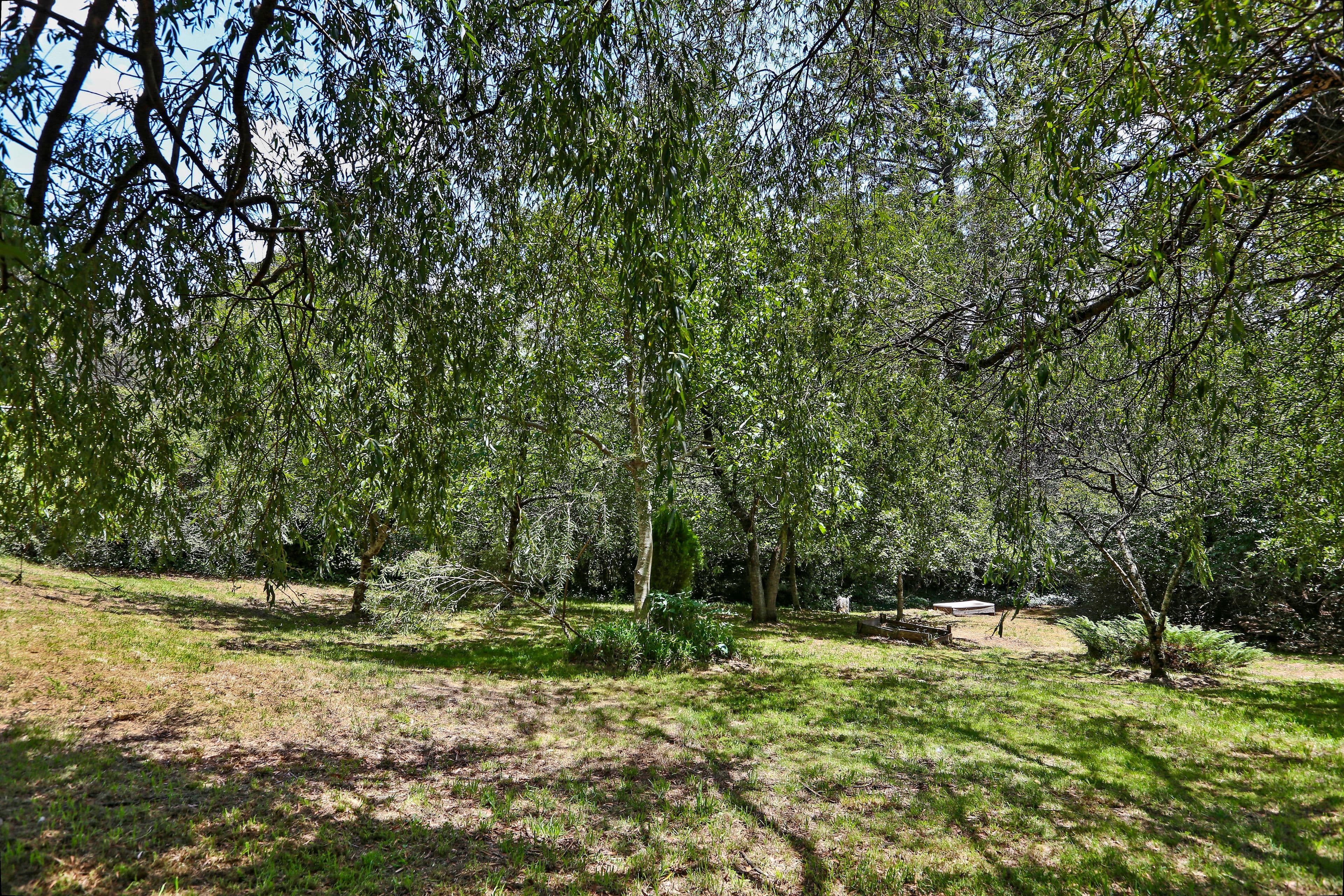 15 Shipley Road, Blackheath NSW 2785, Blackheath - Thumbnail 4